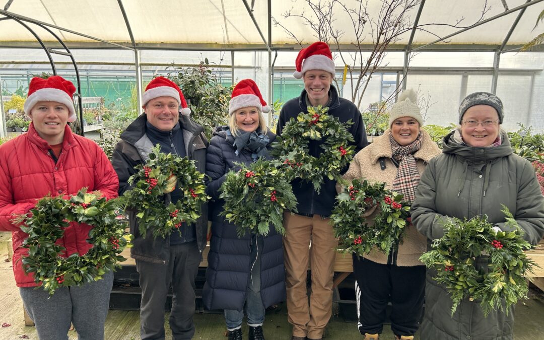 Plants and Minds Christmas Gift Guide 2025