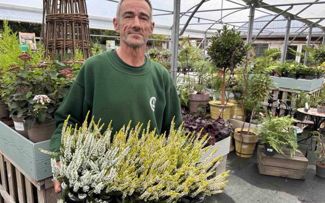 Growing plants saved me from a life of addiction, homelessness and despair, says Cherry Tree’s Andrew