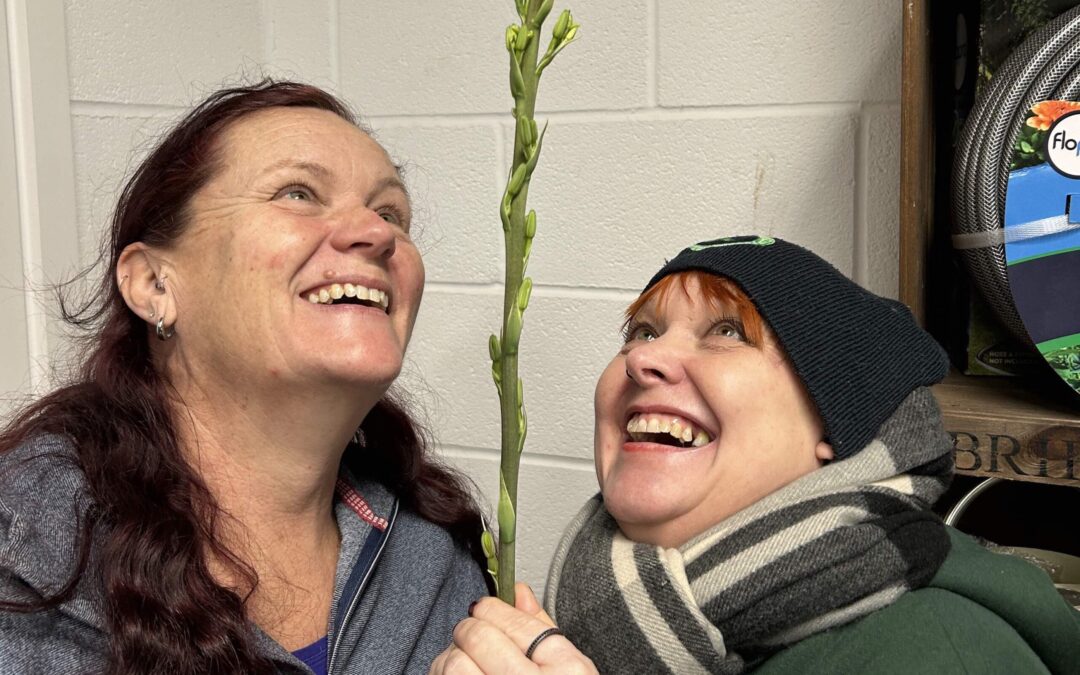 Astonishing 5ft tower of flowers wows customers at Chestnut Nursery