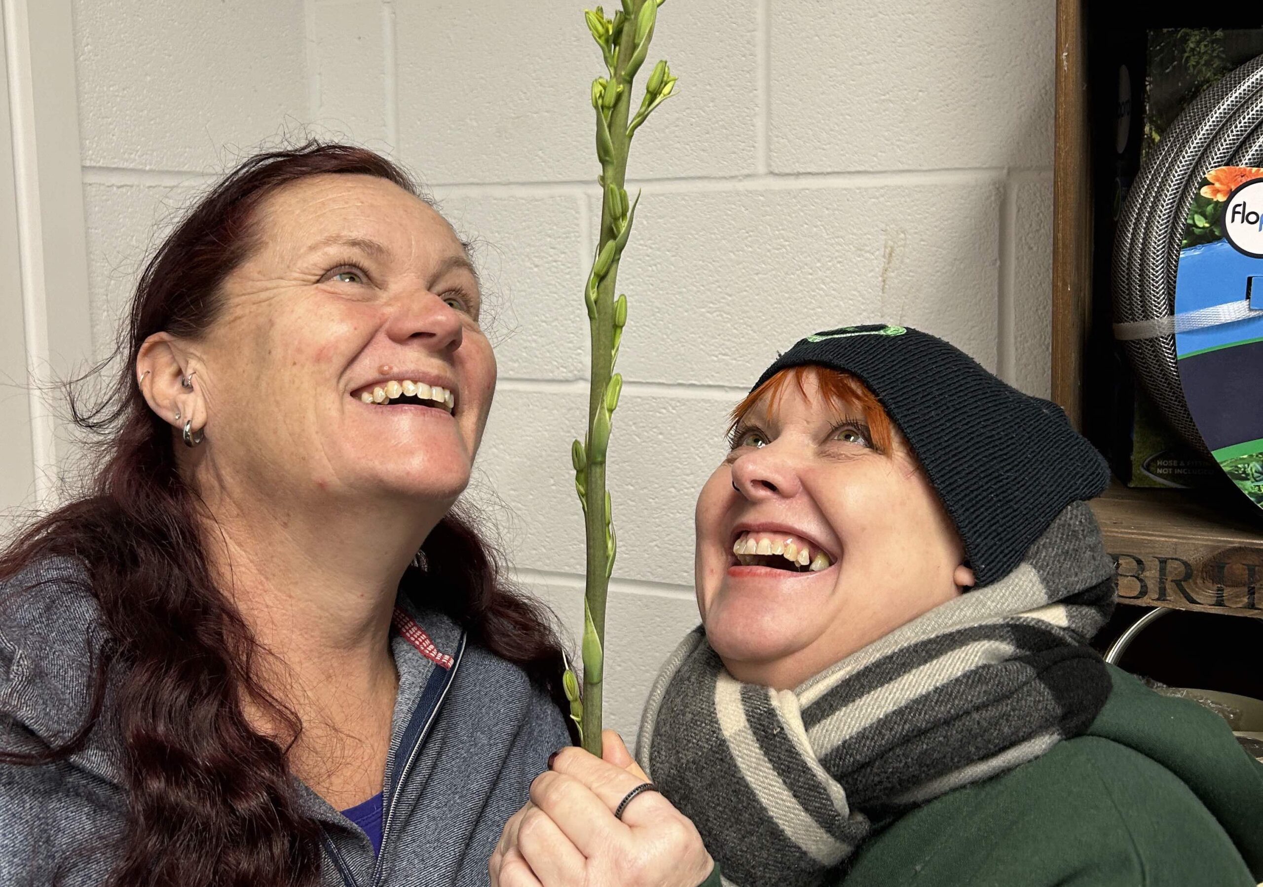 Astonishing 5ft tower of flowers wows customers at Chestnut Nursery