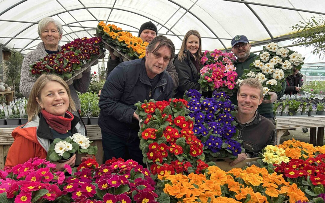 Chestnut Nursery to celebrate 25 years of success with special birthday event