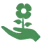 Plants and Minds