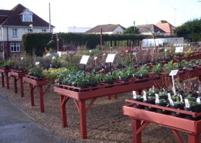 Chesnut Nursery before redevelopment