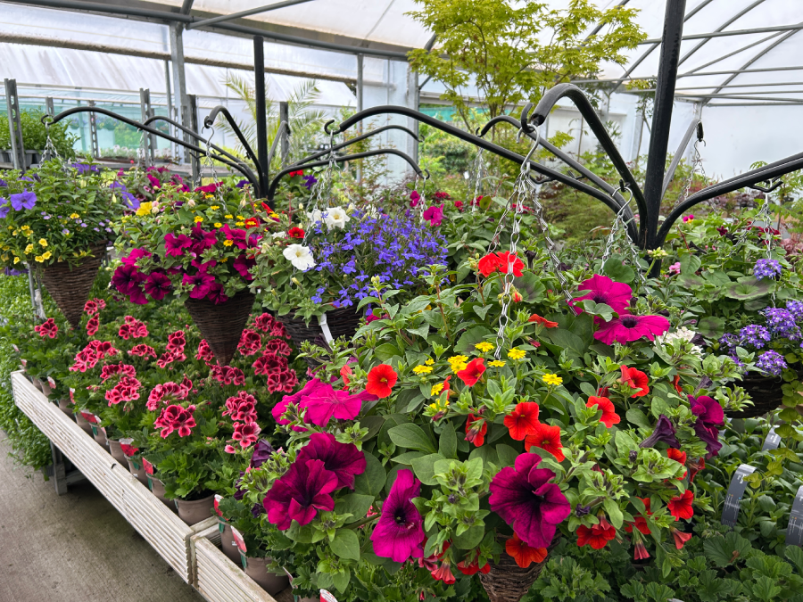 Seasonal bedding