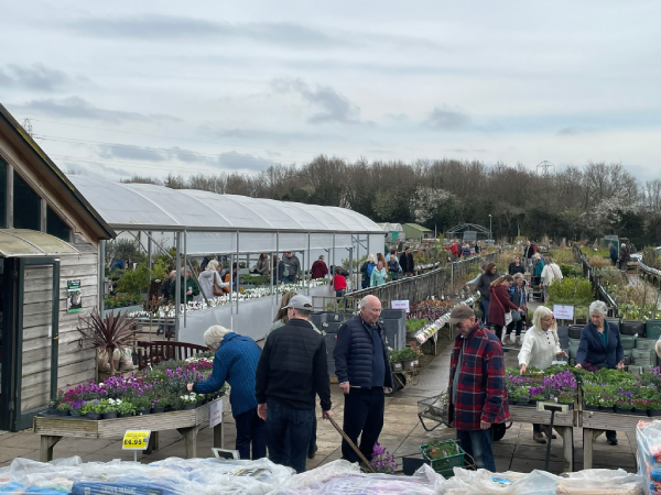 Support our plants sales
