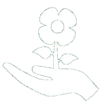 Plants and Minds